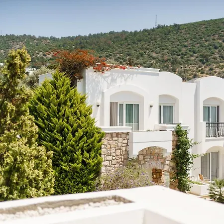 Ξενοδοχείο Costa Sariyaz 3*