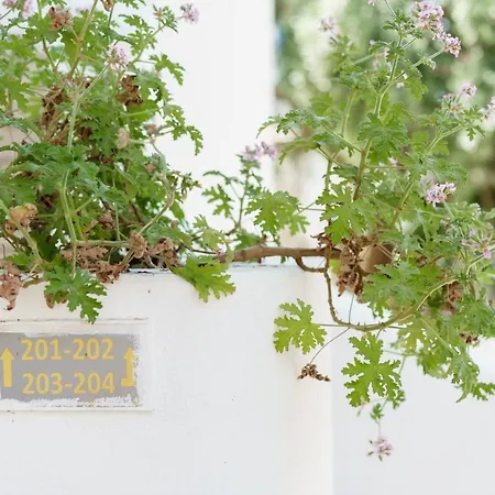 Ξενοδοχείο Costa Sariyaz