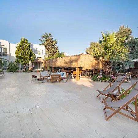 Costa Sariyaz Αλικαρνασσός