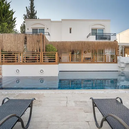 Costa Sariyaz Αλικαρνασσός