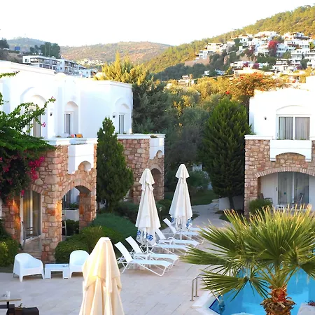 Ξενοδοχείο Costa Sariyaz 3*