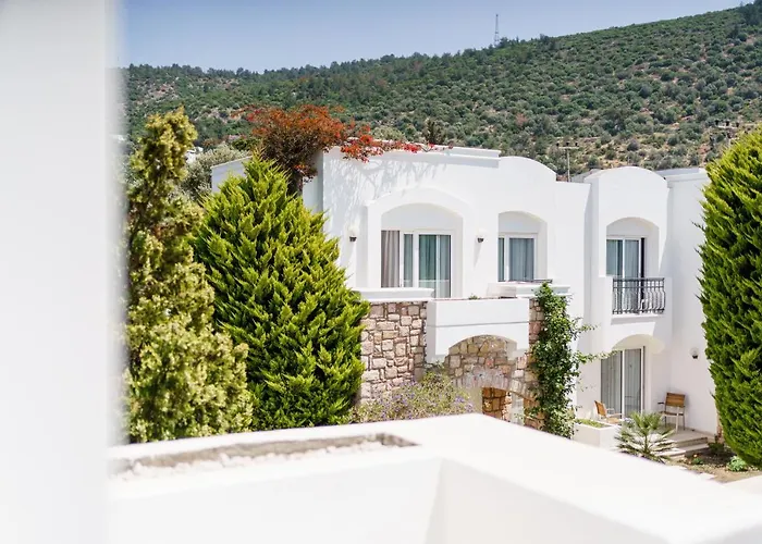 Ξενοδοχείο Costa Sariyaz Αλικαρνασσός