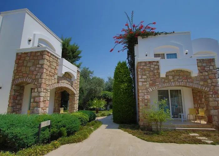Costa Sariyaz Αλικαρνασσός