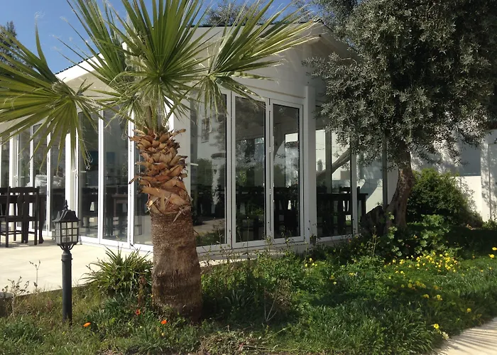 Costa Sariyaz Αλικαρνασσός