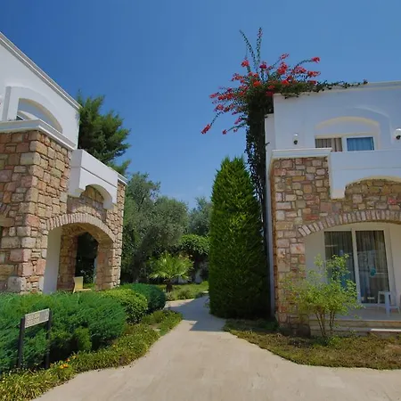 Costa Sariyaz בודרום